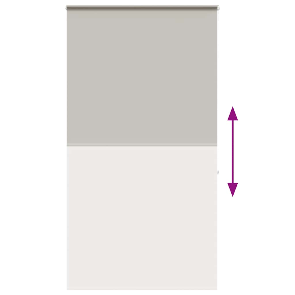 Tenda a Rullo per Doccia Cassonetto 140x240cm Larghezza Tessuto 4014994