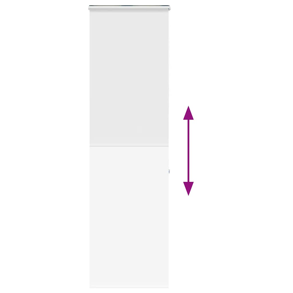 vidaXL Tenda a Rullo Doccia con Cassonetto 70x240 cm Larghezza Tessuto