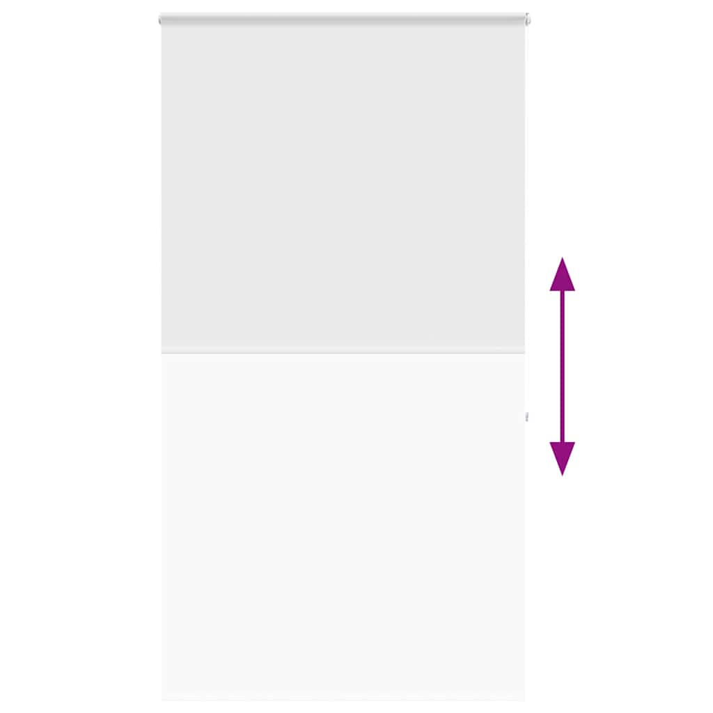 Tenda a Rullo Doccia con Cassonetto 130x240cm Larghezza Tessuto 4015059