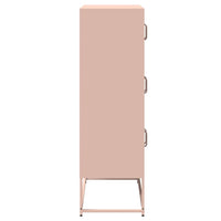 Credenza-Buffet-Armadio da cucina Rosa 68x39x123 cm in Acciaio 459007