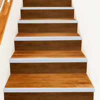 Paragradini 10 pcs Argento 67 cm Alluminio 4013469