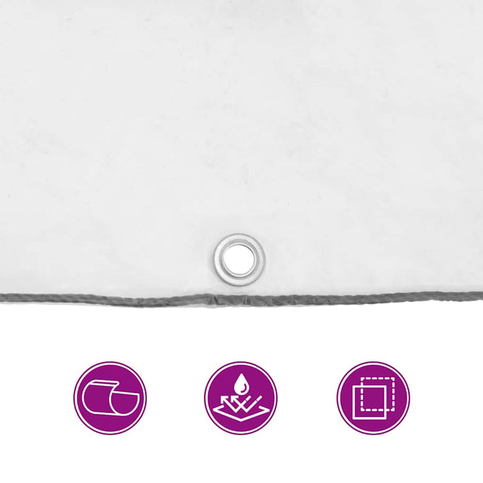 Telone Trasparente con Occhielli 1x6 m in Polietilene 4018499