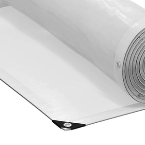 Telone Trasparente con Occhielli 2x2 m in Polietilene