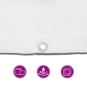 Telone Trasparente con Occhielli 3x8 m in Polietilene