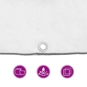 Telone Trasparente con Occhielli 4x8 m in Polietilene