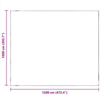 Telone Trasparente con Occhielli 10x12 m in Polietilene 4018537