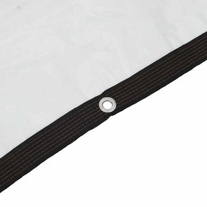 Telone Trasparente con Occhielli 2x10 m in Polietilene 4018553