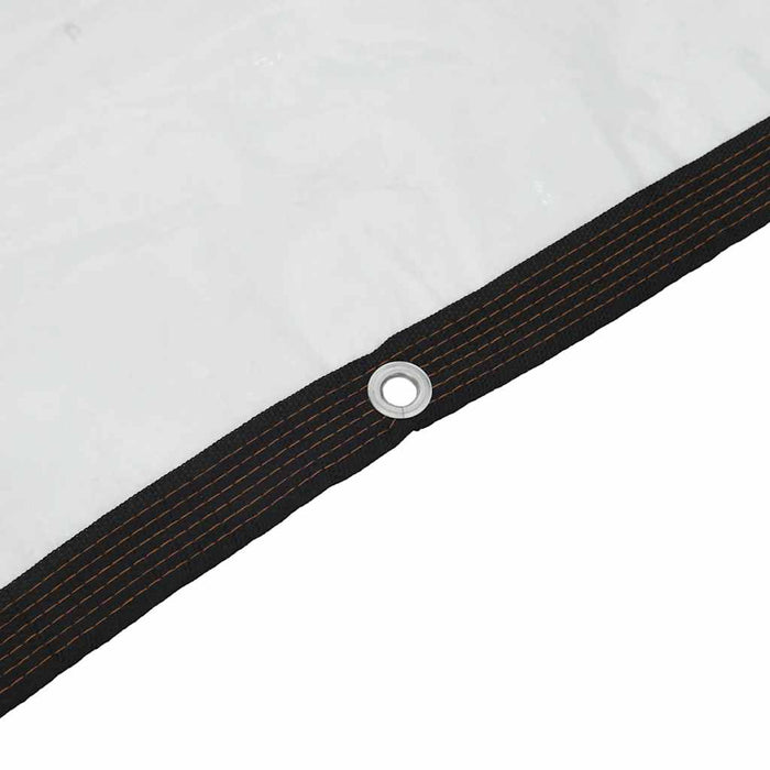 Telone Trasparente con Occhielli 2x10 m in Polietilene 4018553