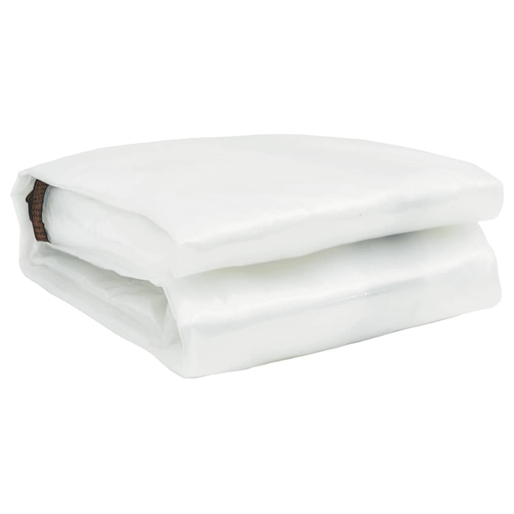 Telone Trasparente con Occhielli 6x12 m in Polietilene