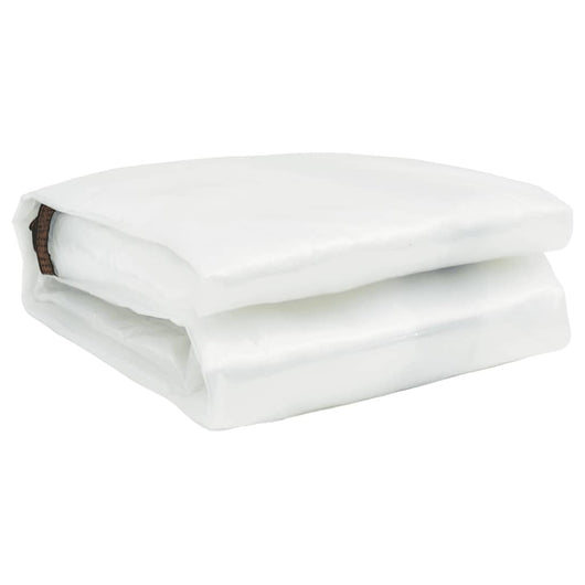 Telone Trasparente con Occhielli 6x12 m in Polietilene 4018576