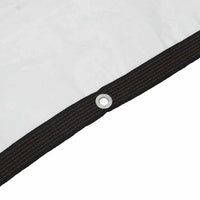 Telone Trasparente con Occhielli 6x12 m in Polietilene 4018576