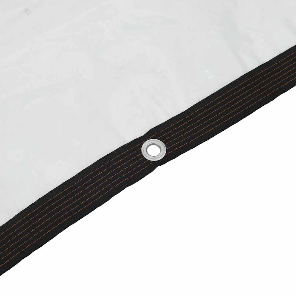 Telone Trasparente con Occhielli 6x12 m in Polietilene