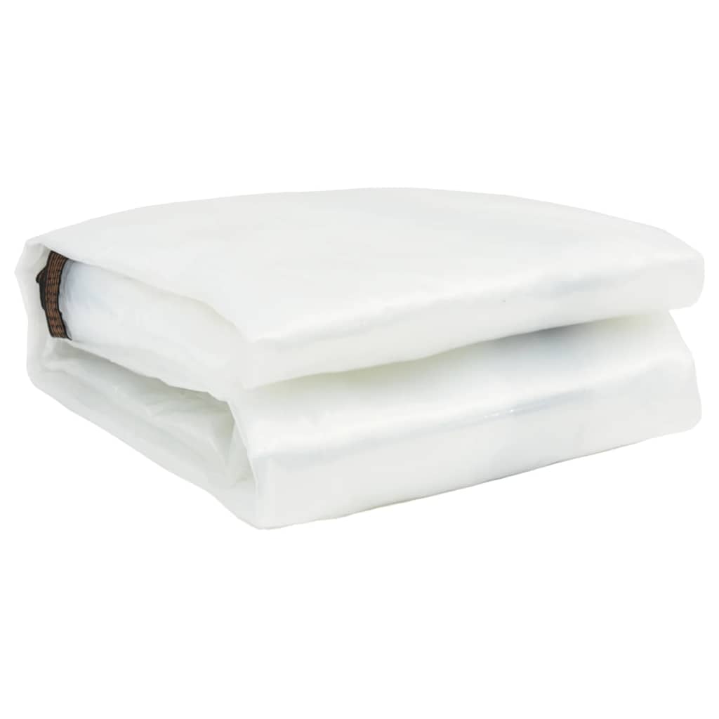 Telone Trasparente con Occhielli 8x10 m in Polietilene 4018578