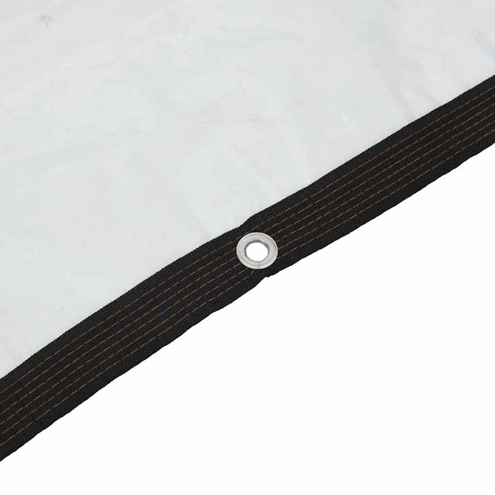 Telone Trasparente con Occhielli 8x10 m in Polietilene 4018578