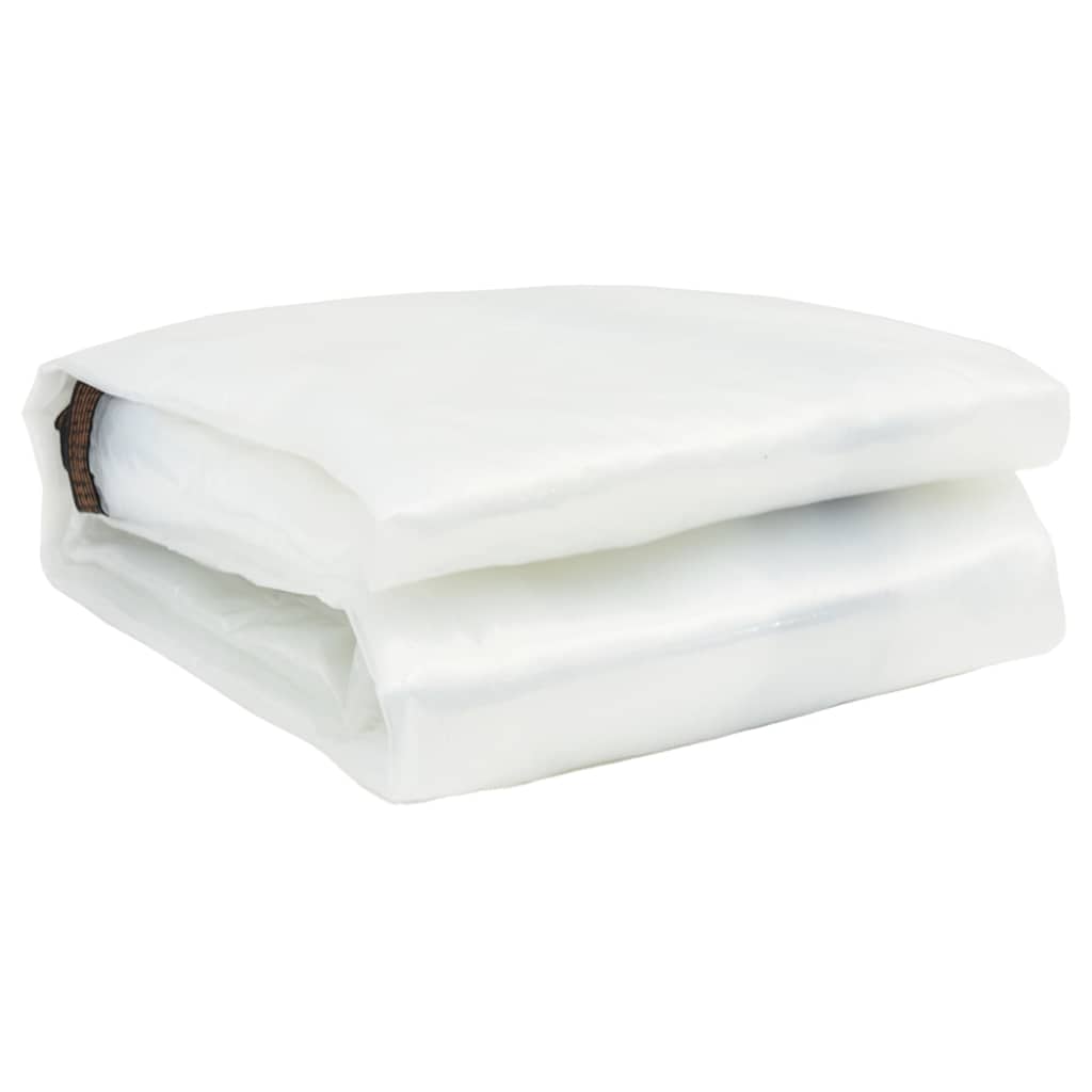 Telone Trasparente con Occhielli 10x12 m in Polietilene 4018581