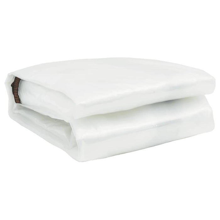 Telone Trasparente con Occhielli 12x12 m in Polietilene