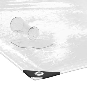 Telone Trasparente con Occhielli 3x5 m in PVC 4018601