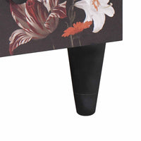 Armadi di Stoccaggio con porta Multicolore 60 x 33,5 x 100 cm 4018730