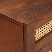 vidaXL Comodini con cassetto Marrone 50 x 33 x 60 cm