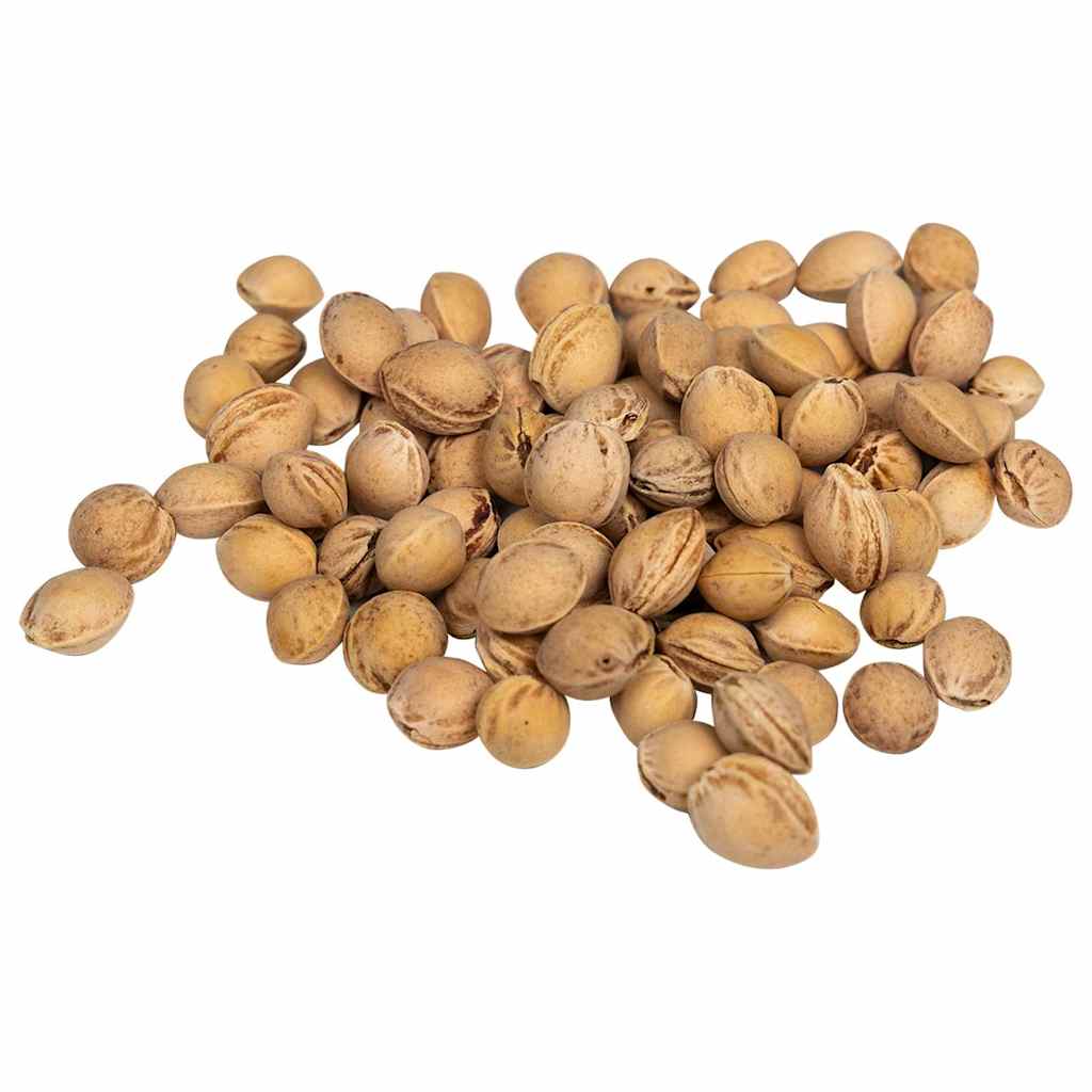 Noccioli di Ciliegia per Cuscino Termico 25 kg