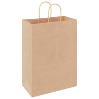 vidaXL Sacchetti di Carta 50 pz con Manici Marrone 32x17x44 cm