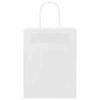 Sacchetti di Carta 50 pz con Manici Bianchi 21x11x28 cm 4101601