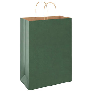 Sacchetti di Carta 50 pz con Manici Verdi 32x17x44 cm 4101720