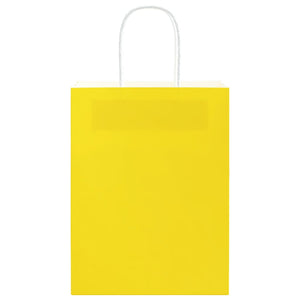 Sacchetti di Carta 50 pz con Manici Gialli 21x11x28 cm 4101769