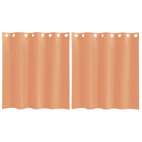 Tende in Voile con Occhielli 2 pz Terracotta 4102137