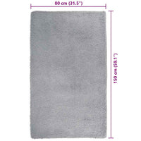 Tappeto Shaggy a Pelo Lungo NAVARRA Grigio Argento 80x150 cm