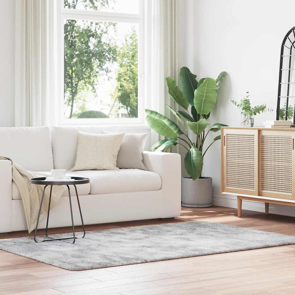 Tappeto Shaggy a Pelo Lungo NAVARRA Grigio Argento 130x200cm 4102836