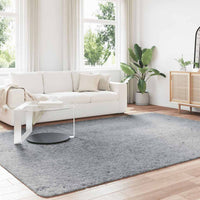 Tappeto Shaggy a Pelo Lungo NAVARRA Grigio Chiaro 240x340 cm 4102858