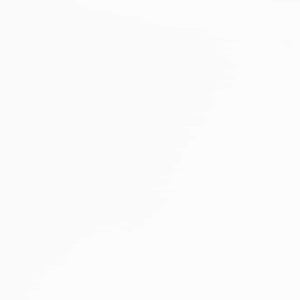 vidaXL Sedie da Pranzo con Cuscini 2 pz Bianco Legno Massello di Hevea