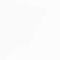 Sedie da Pranzo con Cuscini 2 pz Bianco Legno Massello di Hevea 4102506