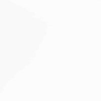 Sedie da Pranzo con Cuscini 2 pz Bianco Legno Massello di Hevea 4102514