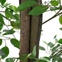 Pianta di Ficus Artificiale 2016 Foglie 300 cm Verde 4103588
