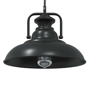 vidaXL Lampada a Sospensione E27 Nero Ø31 cm in Metallo