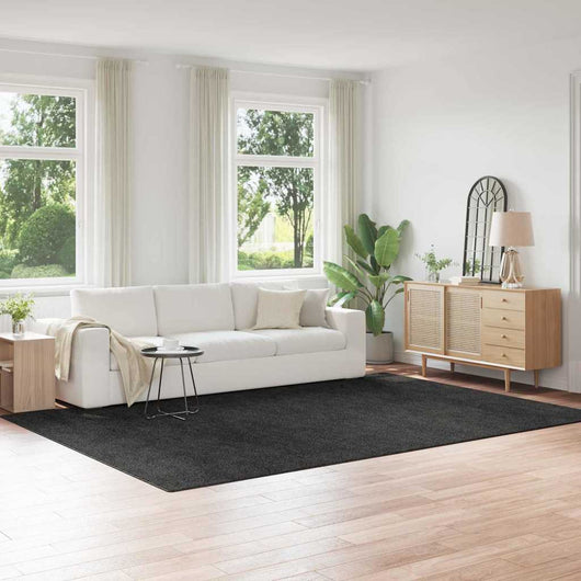 Tappeto Shaggy Antiscivolo Grigio scuro 240 x 340 cm PP 4019772