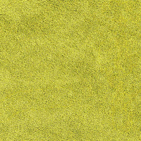 Tappetino da bagno antiscivolo Verde 50 x 80 cm PP 4019829
