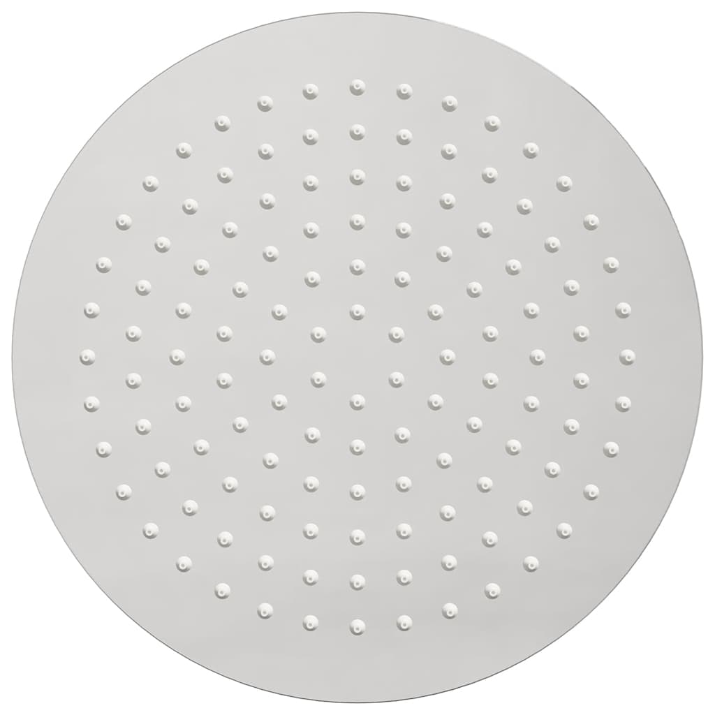 Testa Doccia a Pioggia in Acciaio Inox 304 25 cm Rotonda 4103893