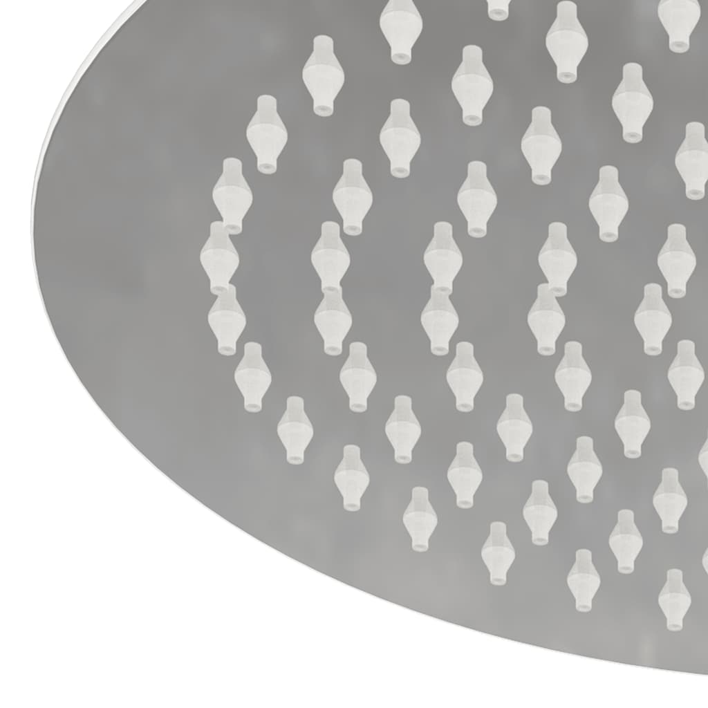 Testa Doccia a Pioggia in Acciaio Inox 304 25 cm Rotonda 4103893