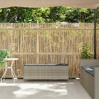 Panca da Giardino con Cuscino 110x30x40,5 cm in Polyrattan 4104159