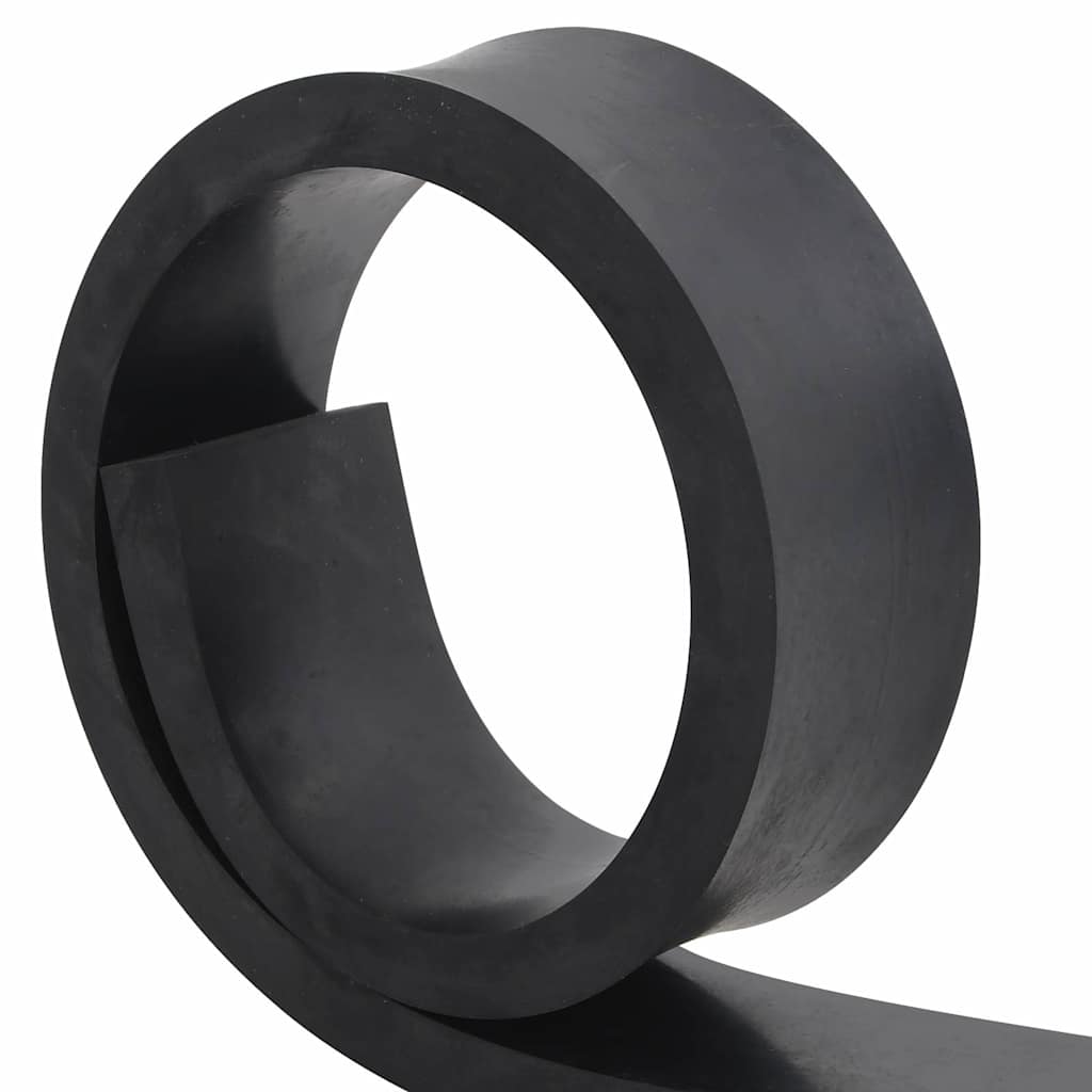 Bordo in Gomma per Spazzaneve Nero 100x8x2 cm 4103534