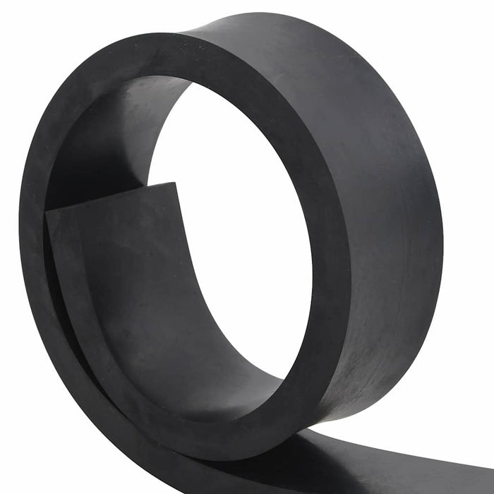 Bordo in Gomma per Spazzaneve Nero 100x8x2 cm 4103534