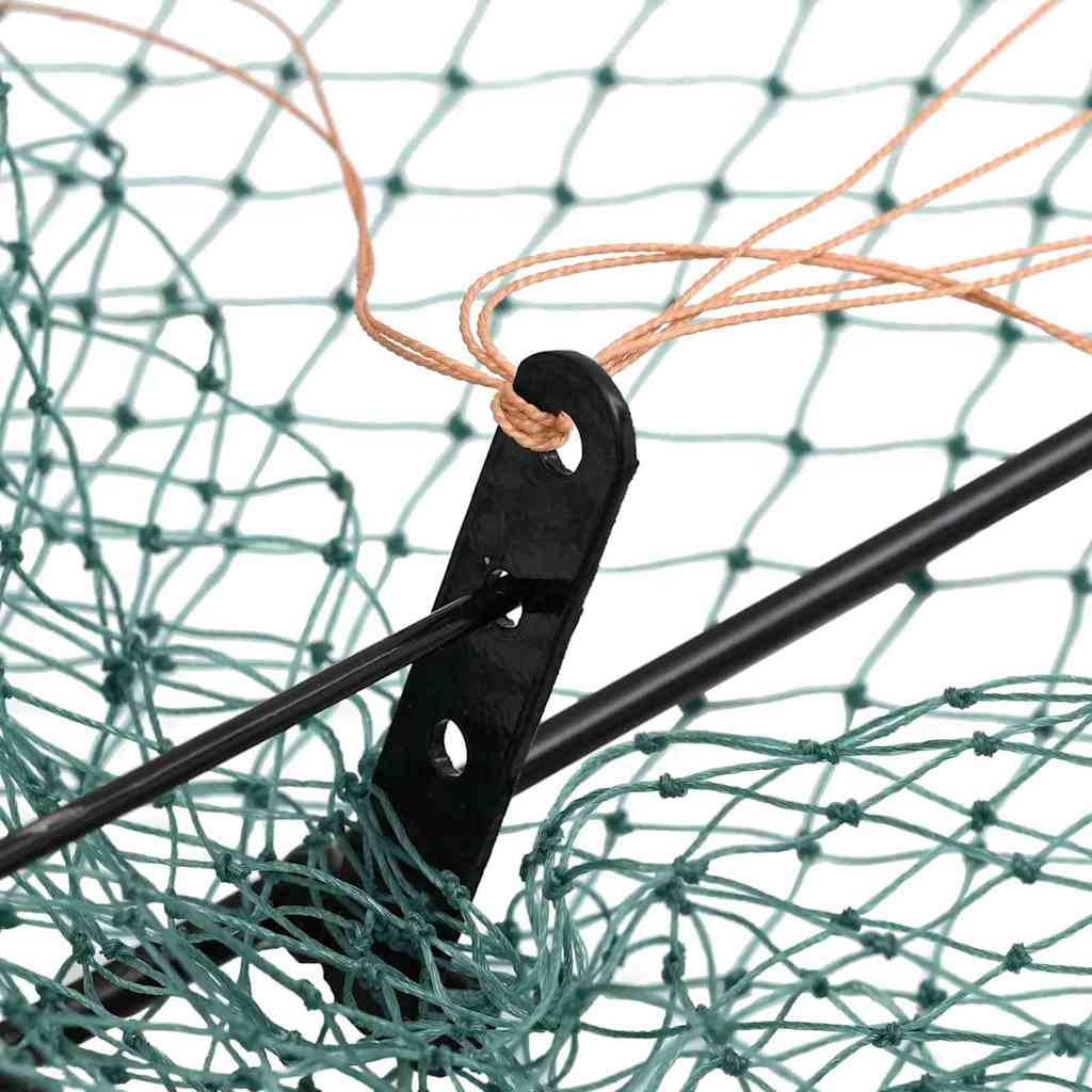 Trappola per Uccelli Verde 50 x 60 cm Polietilene 4104930