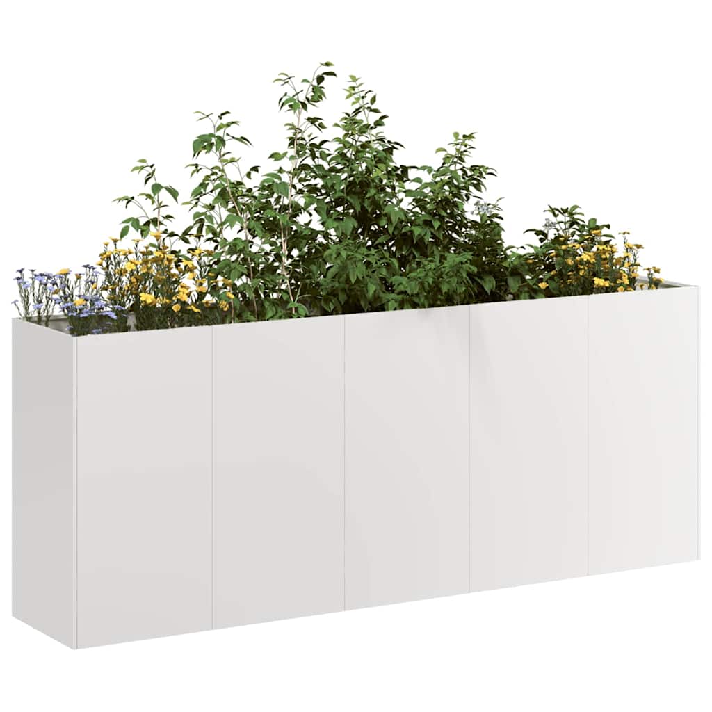 vidaXL Fioriera 200x40x80 cm in Acciaio Inox