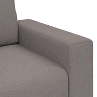 Divano a 2 Posti-Sofa 2 Posti Tortora 120 cm in Tessuto 696384