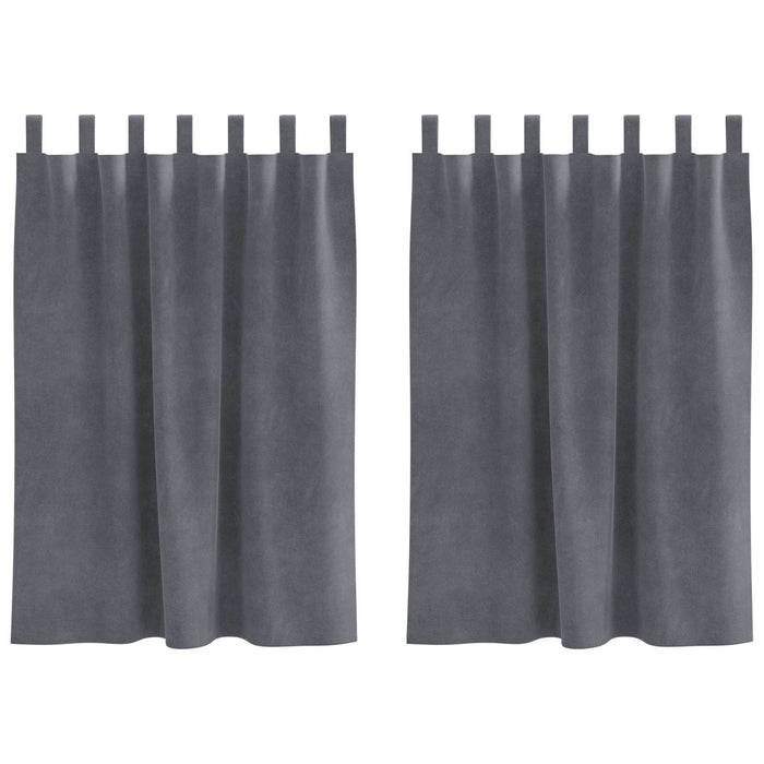Tende oscuranti 2 pcs Grigio chiaro 140 x 140 cm Velluto 4107293