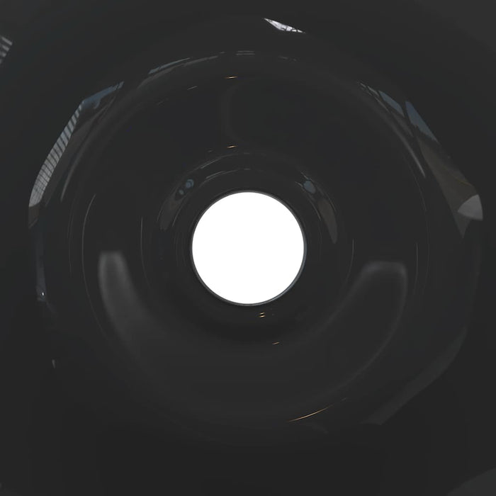 vidaXL Lavandini 2 pz Nero Lucido Ø42x14 cm in Ceramica