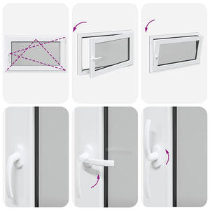 vidaXL Finestra per cantina "RISOR" 100x60 cm Anta-ribalta DIN Destra Antracite